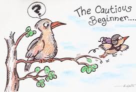 Bingo Tips For Beginners