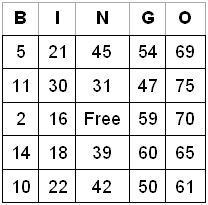 Learn How To Play Bingo