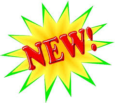 The New Game Styles Of Online Bingo